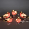 Oiseaux Lumineux Led, 5 Rouge-Gorge<Konstsmide, guirlandes lumineuses de Noël New