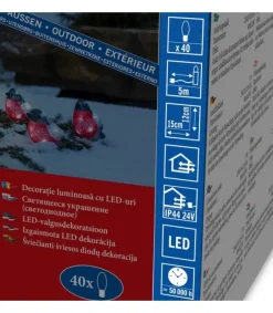 Oiseaux Lumineux Led, 5 Rouge-Gorge<Konstsmide, guirlandes lumineuses de Noël New