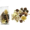 Pot Pourri Melange Pomme De Pin, Cannelle, Mousse, Déco, 100 G<Riffelmacher et Weinberger Discount