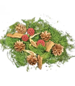 Pot Pourri Melange Pomme De Pin, Mousse, Foret, 80 G<Riffelmacher et Weinberger Flash Sale